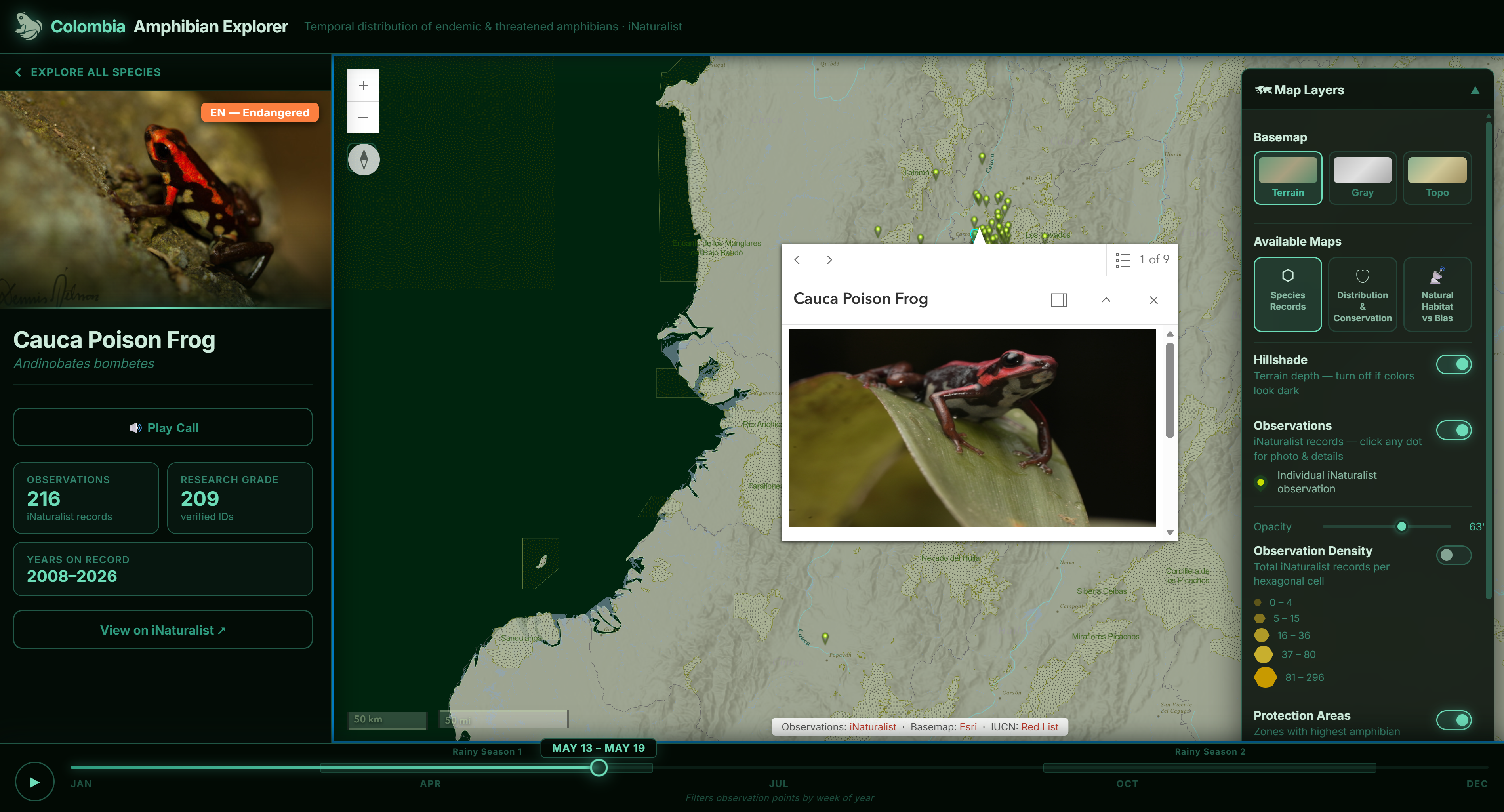 Species sidebar detail — photo, audio, observation count
